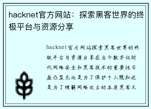 hacknet官方网站：探索黑客世界的终极平台与资源分享