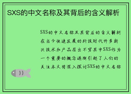 SXS的中文名称及其背后的含义解析